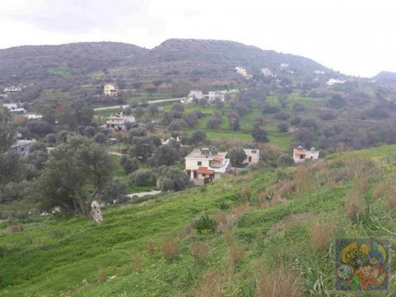 Pitsida Süd Kreta, Pitsida Grundstück 2.400 m² mit toller Aussicht Grundstück kaufen